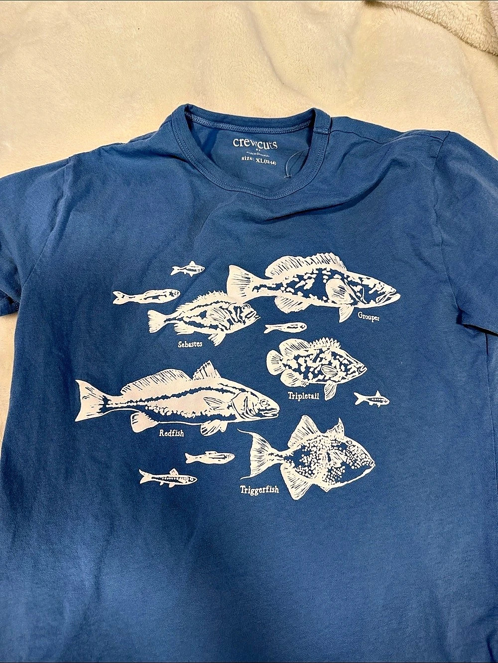 crewcuts Graphic Fish Print Blue Short Sleeve Tee